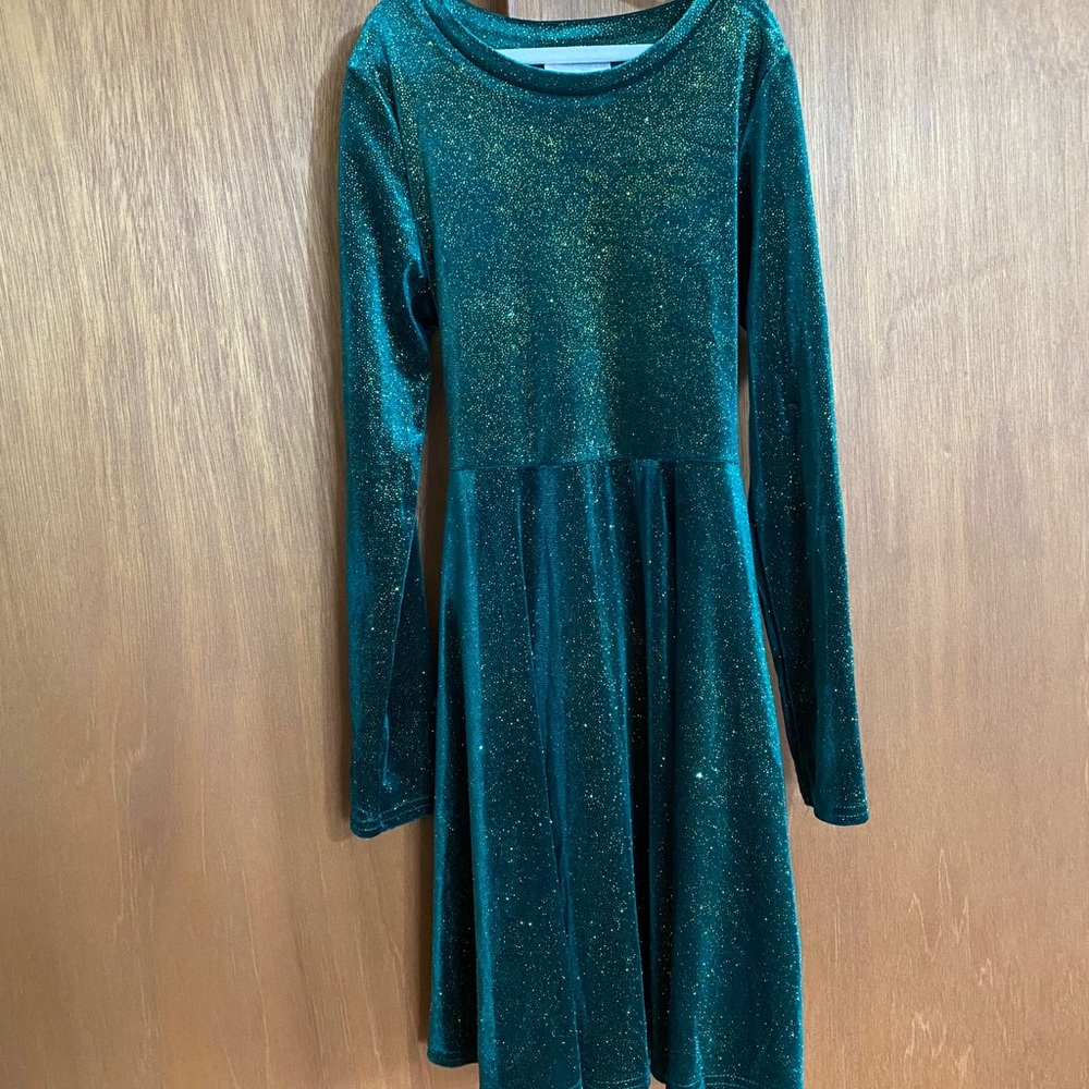 Green Sparkly Dress